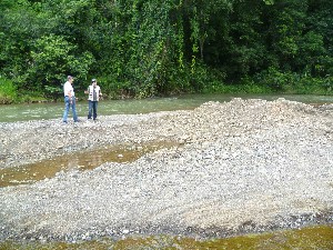 extraccion ilegal rio tulin 2.jpg